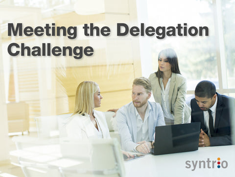 Meeting the Delegation Challenge